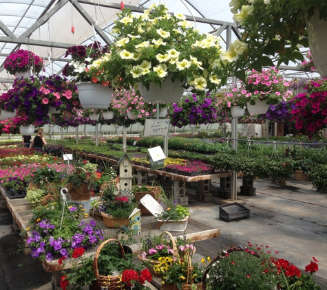 Penrose Nursery - Howell, MI