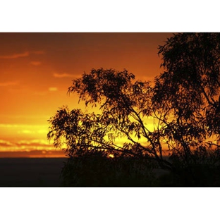 Hughenden Rest-Easi Motel