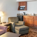 Quality Inn & Suites - Motels