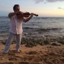 Violin and Viola Lessons Hawaii - Violins