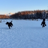 South Anchorage Sports Park gallery