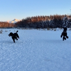 South Anchorage Sports Park