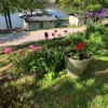 Sunset Beach Resort gallery
