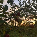 Westwind Orchard - Orchards
