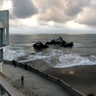 Seal Rock Research