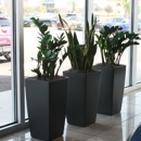 Tropical Gardens Interiorscaping, Plant Rental and Maintenance - Plants