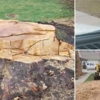 A & M Tree Service & Stump Grinding gallery