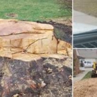 A  & M Tree Service & Stump Grinding