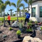 941 Tree Services