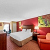 SureStay Plus by Best Western San Antonio Fiesta Inn gallery