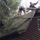 Top Notch Tree Care - Tree Service