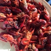 Mud Bugs of Leesville gallery