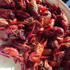 Mud Bugs of Leesville