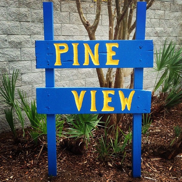 osprey pine view school