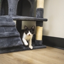 CityVet | West 7th - Pet Services