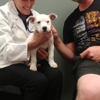 West Asheville Family Vet gallery