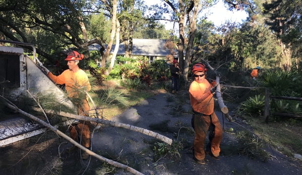 Troyer Tree Service - Sarasota, FL