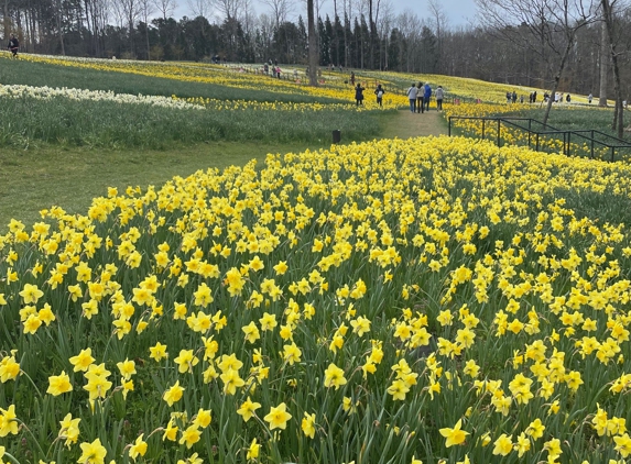 Gibbs Gardens - Ball Ground, GA