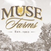 Muse Farm gallery