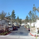 Peppertree Ranch Senior Apartments - Apartments