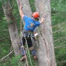 Colonial Tree Service - Tree Service