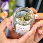 Velvet Cannabis Weed Dispensary Martinez