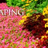 Red Oak Landscaping gallery