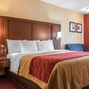 Comfort Inn Lancaster at Rockvale - Motels