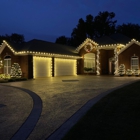 Blue Duck Christmas Lights