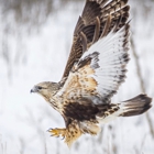 Lee Metcalf National Wildlife Refuge