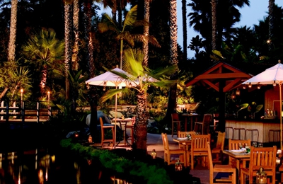 barefoot grill secrets los cabos