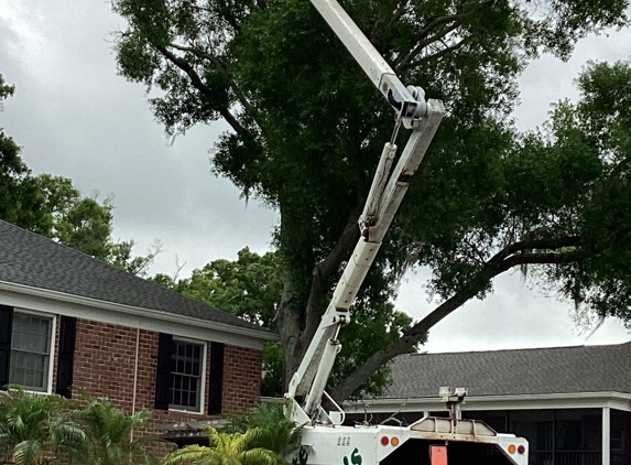 Pete and Rons Tree Service