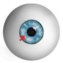 Eye Clinic of Racine Ltd - Optometrists