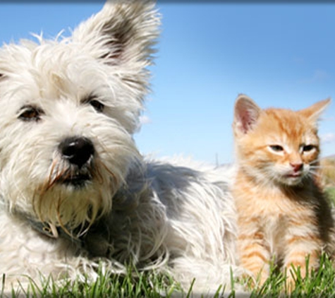 Eastwood Veterinary Clinic - Ballarat East, VIC