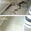 Safe-Dry Carpet Cleaning of Pelham - Carpet & Rug Cleaners