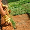 Prolawn Turf & Landscape Management, Inc. gallery