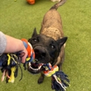 Paws 'n' Rec - Jones - Pet Services