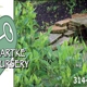 Hartke Nursery