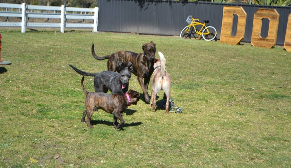 Paradise Pet Parks - Falls Creek, NSW