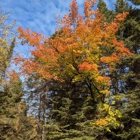 Cascade River State Park