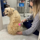 Kelsey Canine Medical Center - Veterinarians