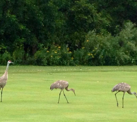 Myth Golf & Banquet - Oakland, MI