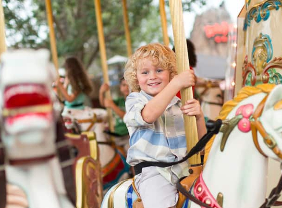 Marketplace Carousel - Orlando, FL