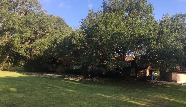 Greenfield Tree Service - Fresno, TX