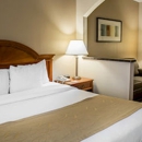 Comfort Suites Chesapeake - Norfolk - Lodging
