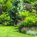 Excellent Landscaping Design and Maintenance LLC - Landscape Contractors