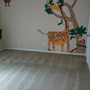 Royalty Home Solutions Carpet Cleaning