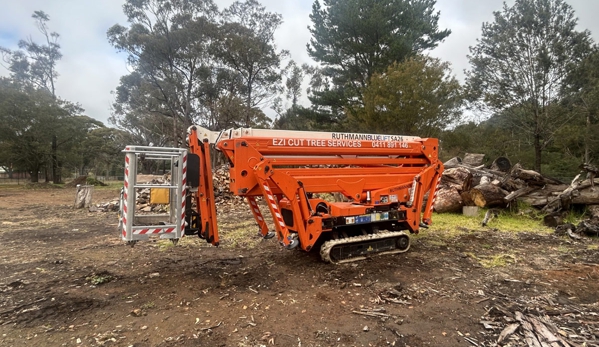 Ezi cut tree services - Hill Top, NSW