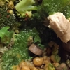 sweetgreen - Healthy Salads, Wraps, and Bowls gallery