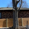 Dittmer Tree Service gallery